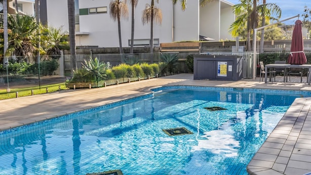 A swimming pool with clear blue water, surrounded by a tiled deck and palm trees.