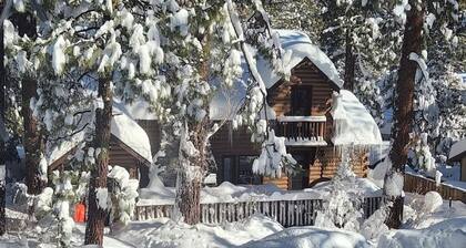 Cozy spacious cabin in Beautiful Wrightwood