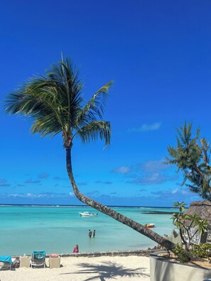 Playa en los alrededores y camastros
