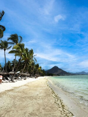 Playa en los alrededores y camastros