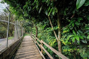 Um calçadão de madeira com uma cerca de metal de um lado e folhagem densa do outro.
