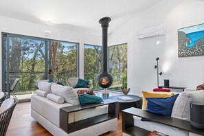 Télévision, cheminée, chaîne hi-fi