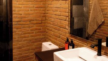 Shower, hair dryer, bathrobes, towels