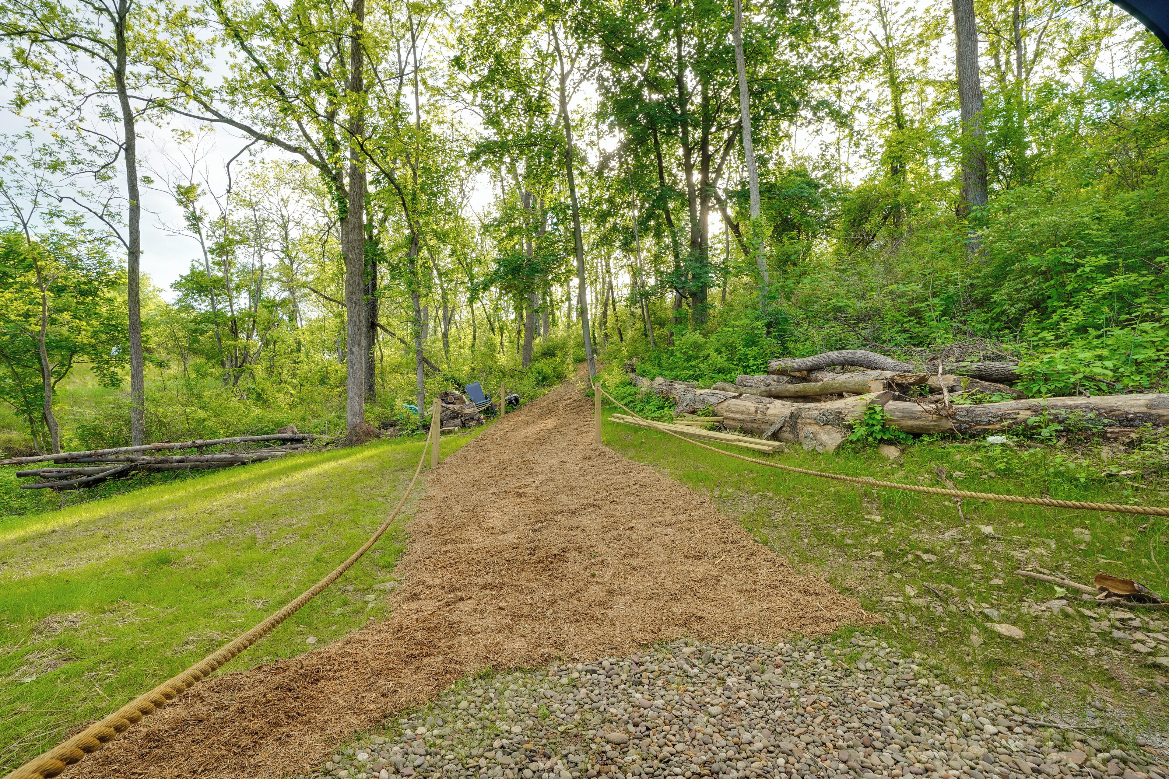 A forest trail with a dirt path, surrounded by trees and greenery.