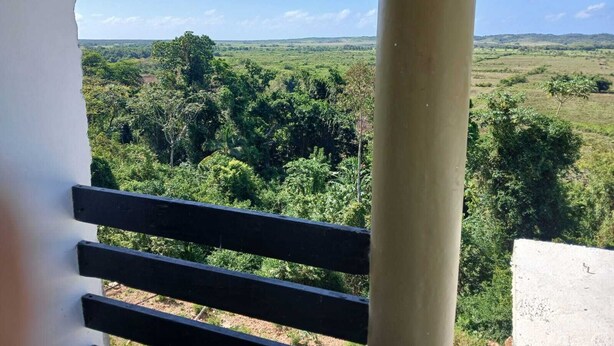 A balcony with a view of a lush green landscape. - 3-bedroom in lovely Amity Hall with WiFi, AC, Private Bathrooms, Best View (Amity Hal)