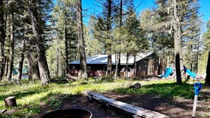 A rustic cabin with a metal roof, surrounded by tall trees. - Pinecrest Family Summer Retreat Kid Playroom and Game Room (Island Park)