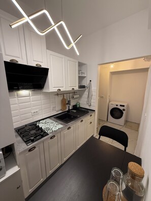 Fridge, microwave, stovetop, coffee/tea maker - Quiet OldTown PlayStation & more Bucharest (București)