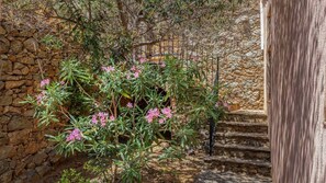 Àrea exterior de l'allotjament