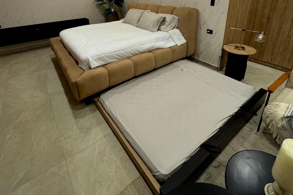 A modern bedroom with a bed, a TV, a plant, and a wardrobe.
