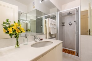 Shower, hair dryer, bidet, towels