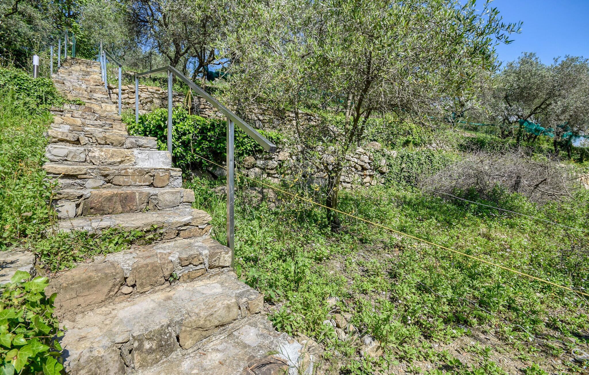 A stone staircase leading up a hill, surrounded by greenery and trees.
