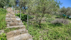 Una escalera de piedra que sube una colina, rodeada de follaje y árboles.