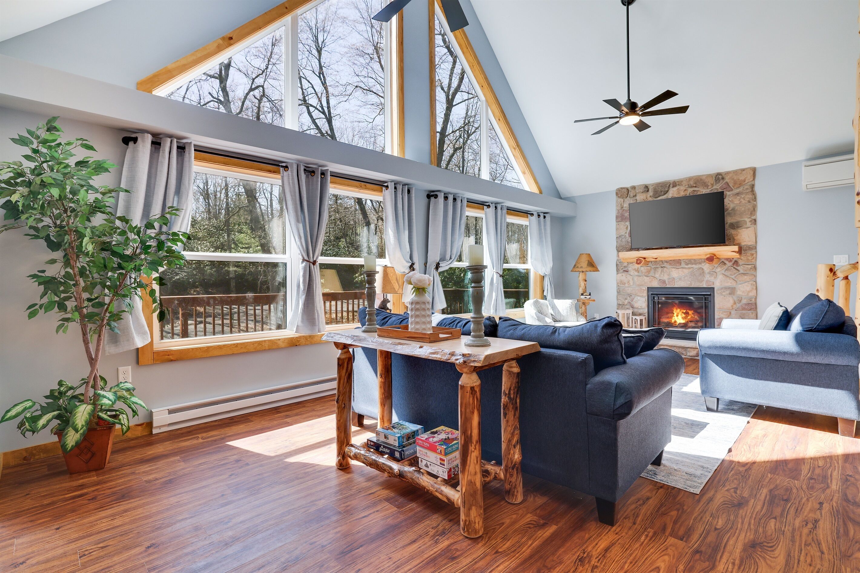 智能電視、壁爐、電子遊戲、DVD 播放機