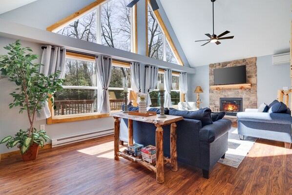 Smart TV, fireplace, video games, DVD player