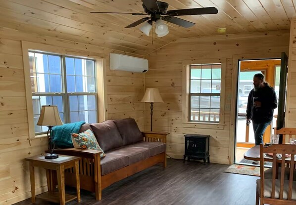 Smart TV, fireplace, books