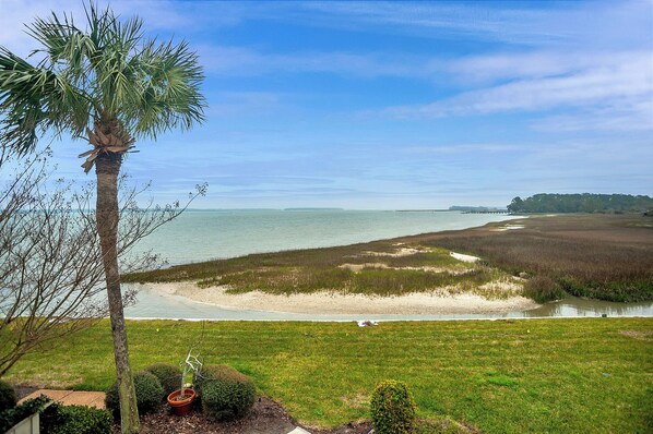 A coastal landscape with a palm tree, grassy areas, and a body of water. - 738 Schooner Court at The Sea Pines Resort (Hilton Head Island)
