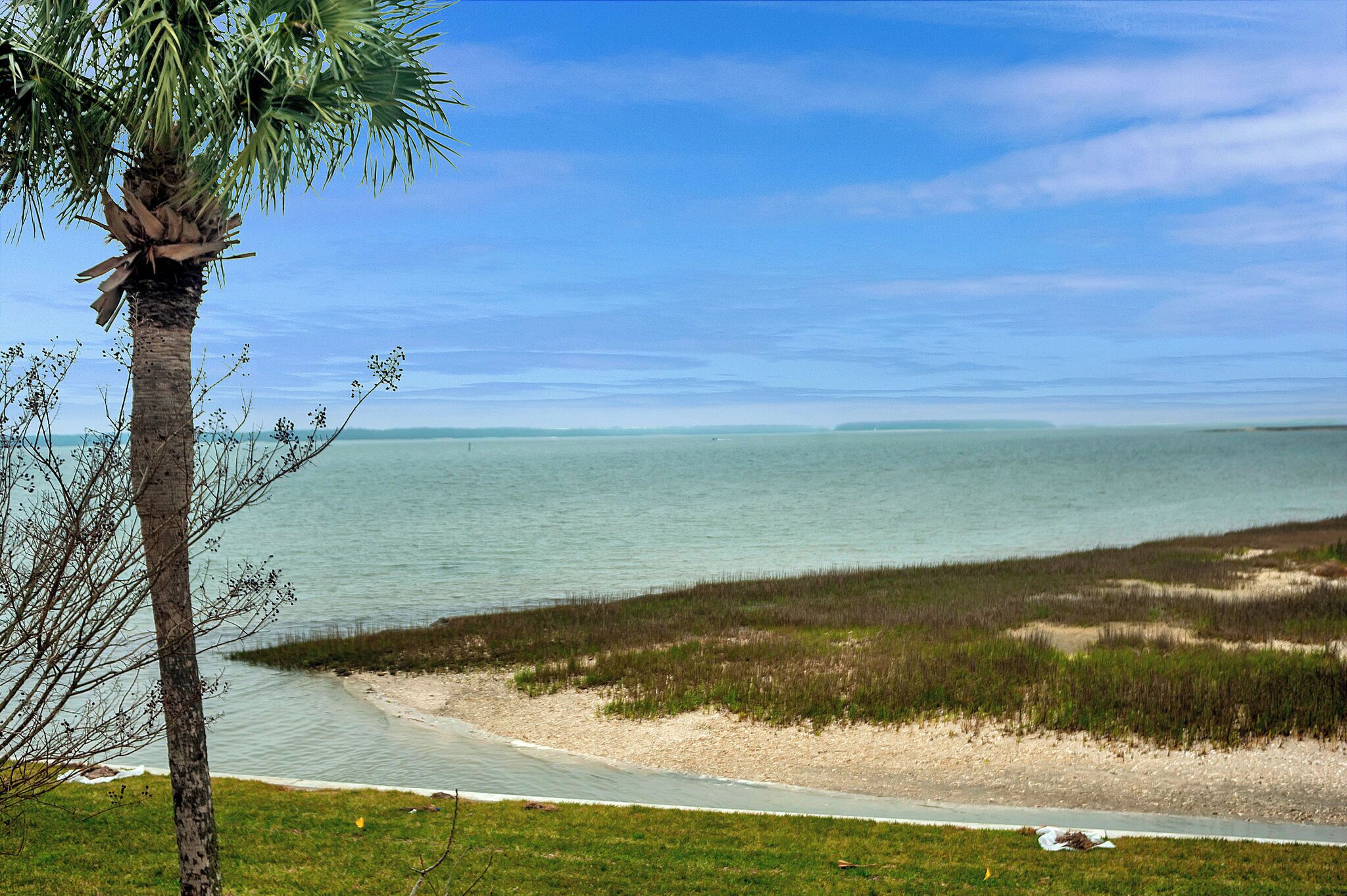 A coastal landscape with a beach, a palm tree, and a clear sky.