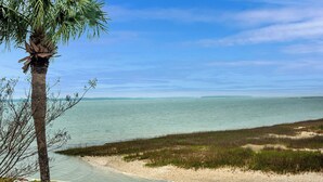 Un paisaje costero con playa, una palmera y cielo despejado.