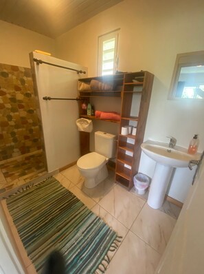 Apartment, Smoking | 1 bedroom