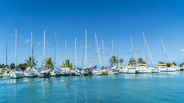Marina com vários veleiros atracados.