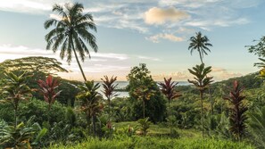 A tropical landscape with palm trees and lush greenery. - Raiatea - Studio Tumaraa (Raiatea)