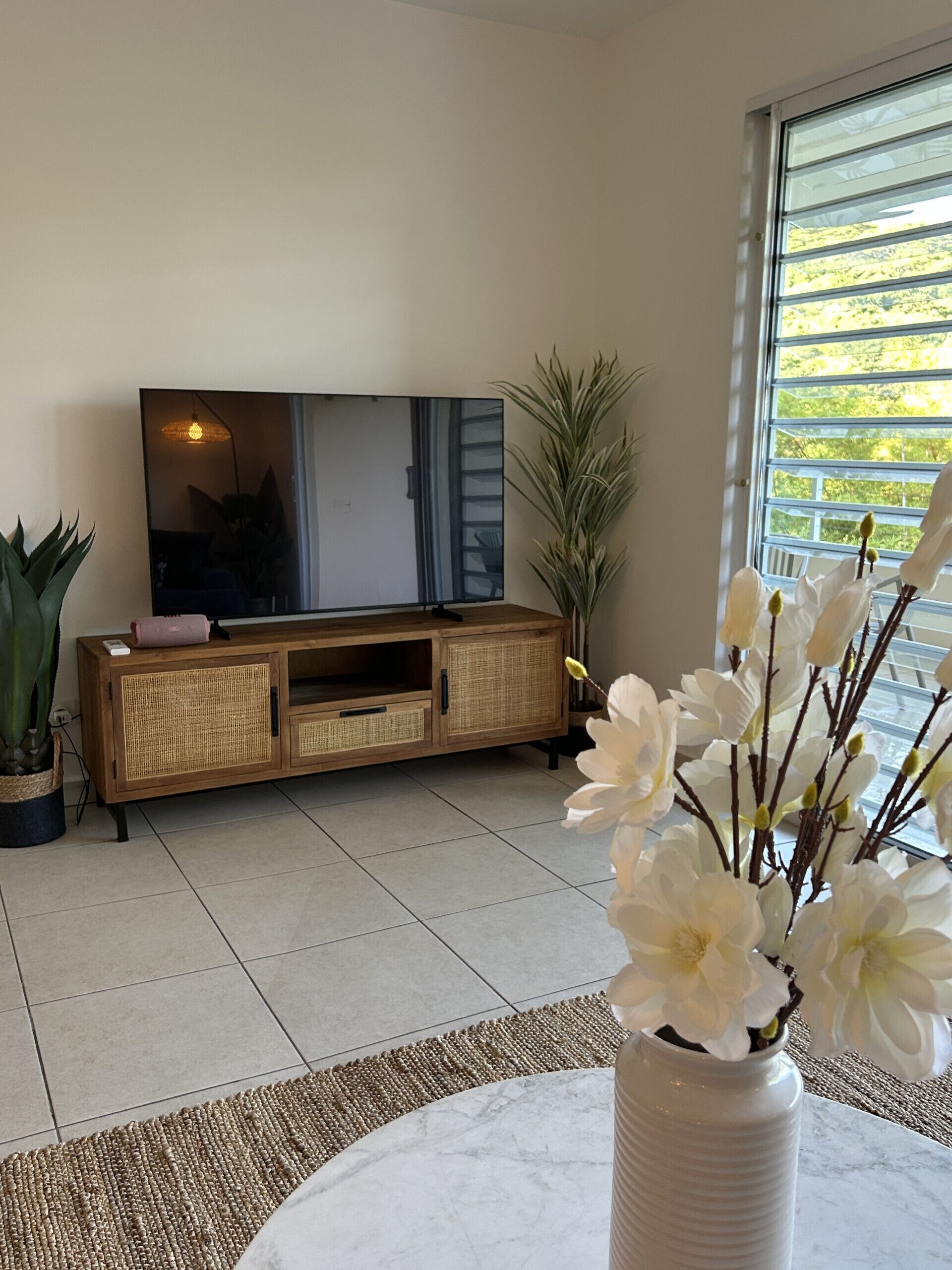 Apartment, Smoking | 1 bedroom