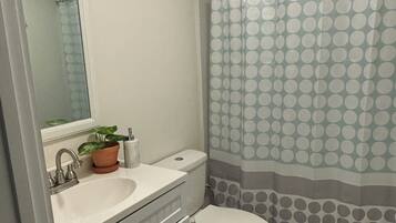 Eco-friendly toiletries, hair dryer, towels, soap