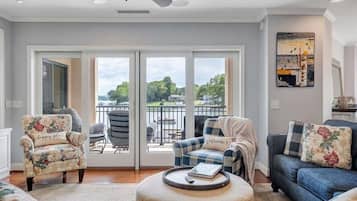 TV, fireplace, books