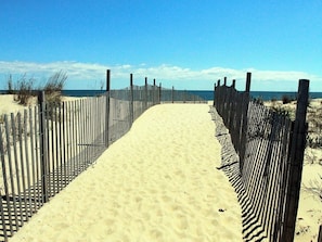 A sandy beach path with wooden fencing on both sides. - Coastal Cottage 5-bedroom East of Rt 1   / 2.5-bath. Less than 2 miles to beach (Rehoboth Beach)