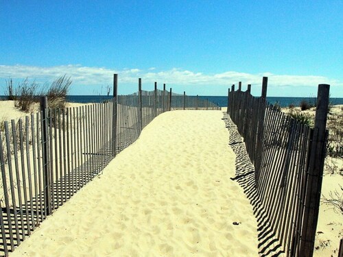 Coastal Cottage 5-bedroom East of Rt 1   / 2.5-bath. Less than 2 miles to beach