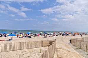 Sun loungers, beach towels