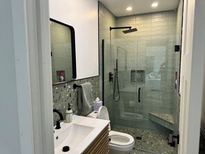 Shower, hair dryer, towels, soap