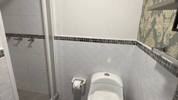 Shower, towels, soap, toilet paper
