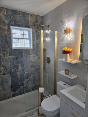 Shower, hair dryer, bidet, towels