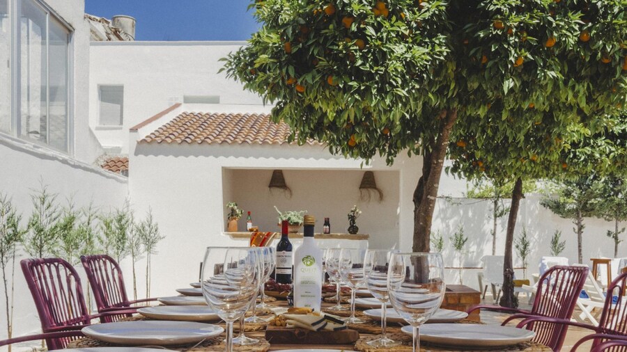 Campi a Villa Alicia