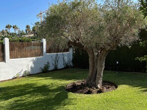 Villa - Villa Maisa Luxury Marbella (Marbella)