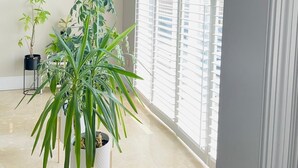 Une pièce spacieuse avec une grande fenêtre, un tableau accroché au mur et plusieurs plantes en pot.