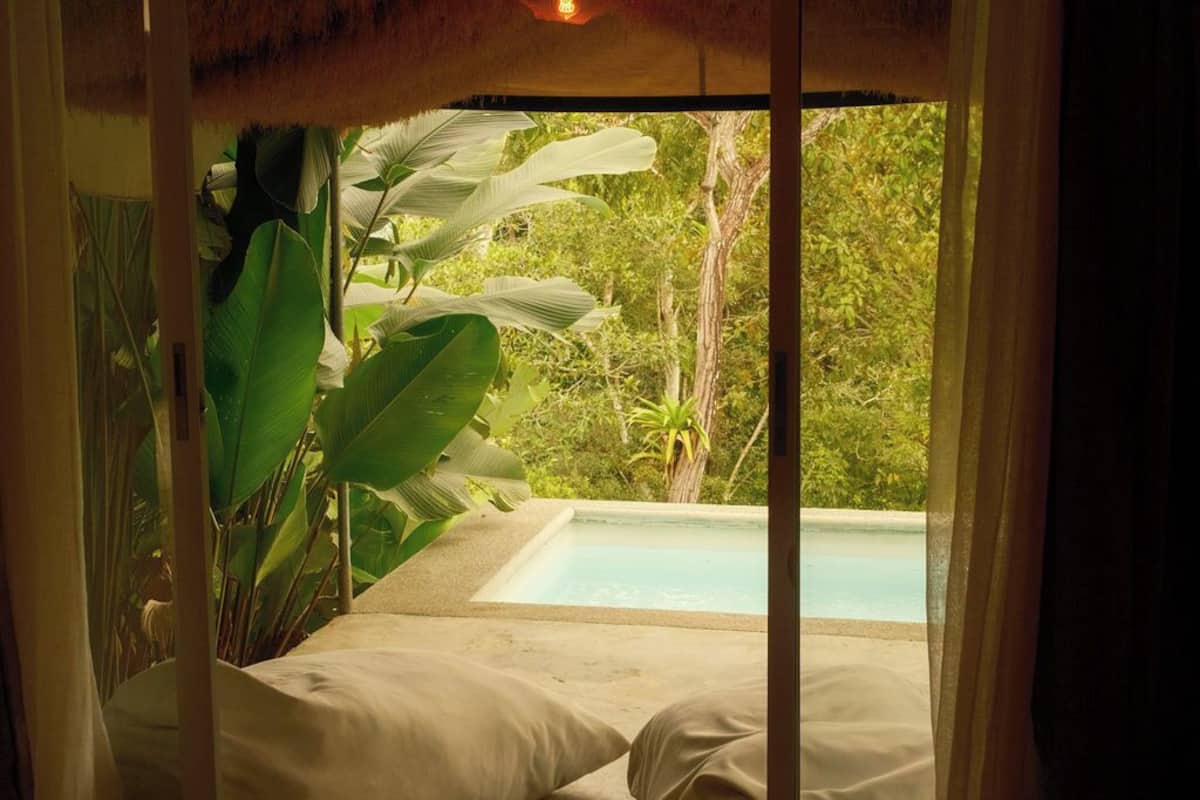 A room with a bed, a view of a swimming pool, and tropical foliage.