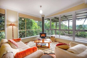 Televisión, chimenea, libros