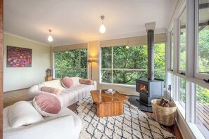 Televisión y chimenea 