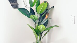 A staircase with a white railing, a potted plant with large green leaves, and a white wall. - A Quiet Modern / Brand New Gem (Lower Hutt)