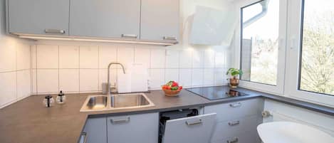 Kühlschrank, Mikrowelle, Herdplatte, Geschirrspüler