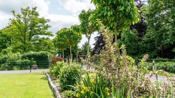 Un jardin bien entretenu, agrémenté de diverses plantes et arbres, avec un chemin dallé et une clôture.