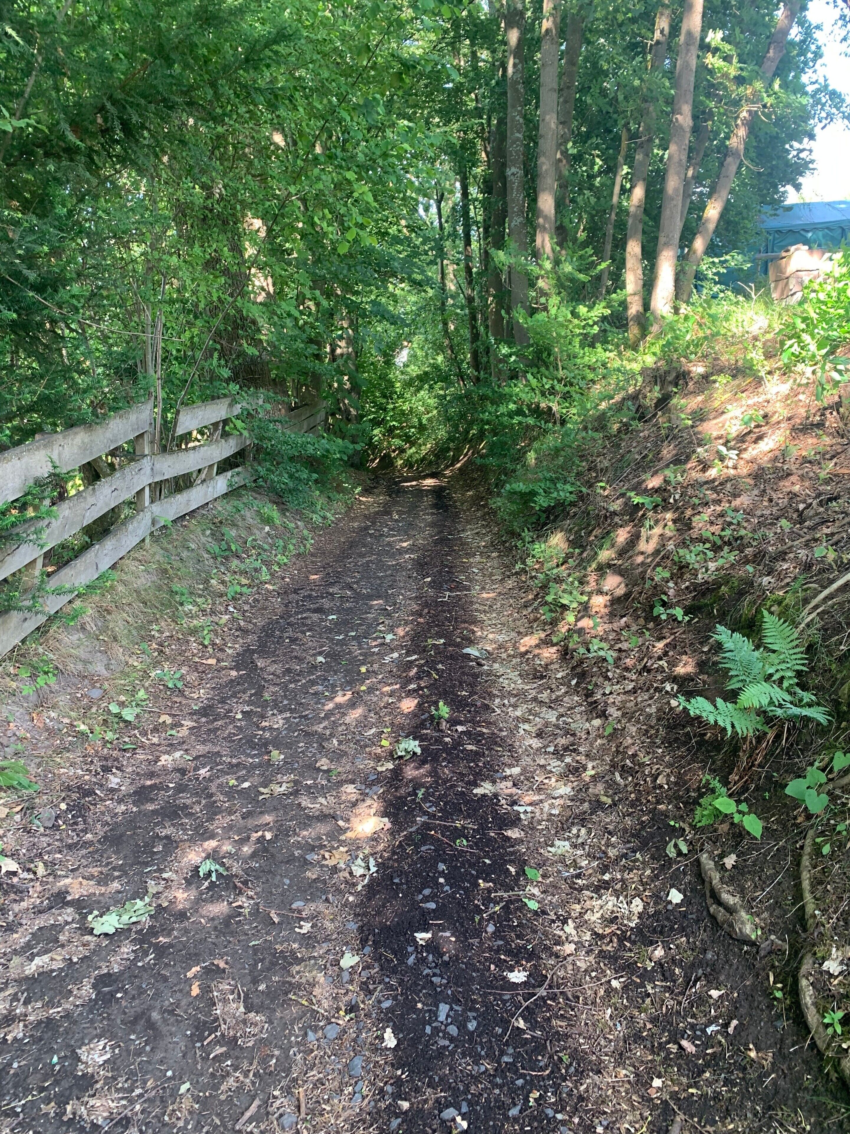 Een smal, stoffig pad, begrensd door weelderige groene beplanting en een houten omheining.