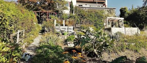 Overnatningsstedets område