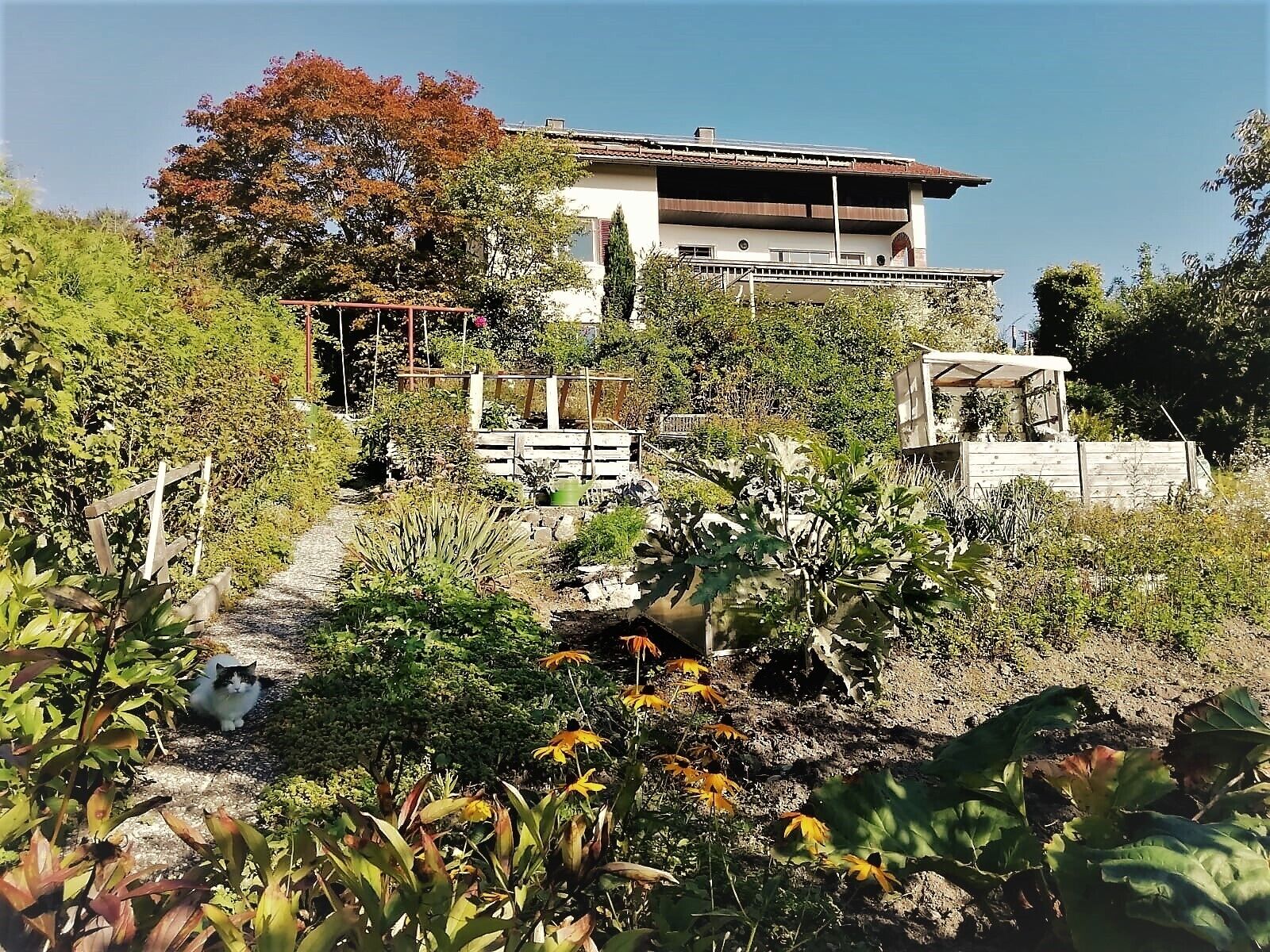 Jardines del alojamiento
