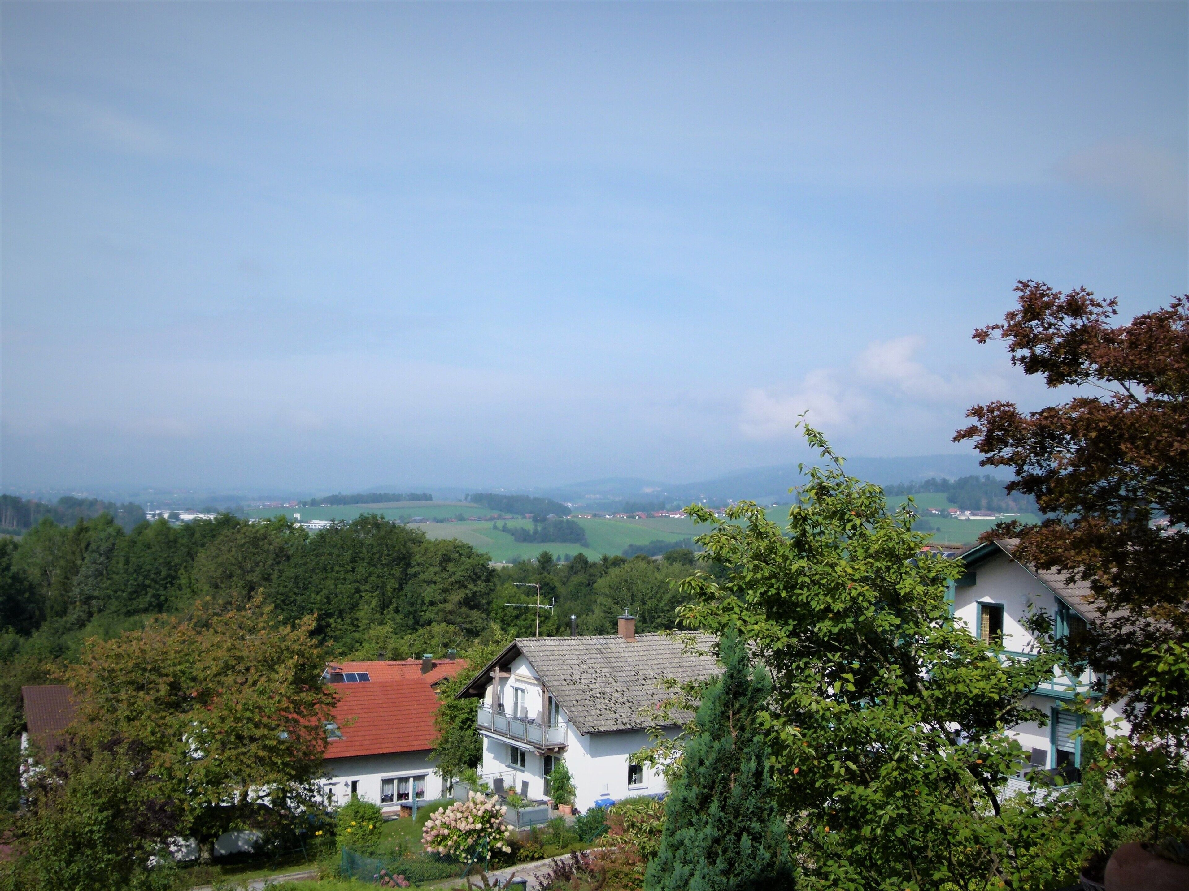 A residential area with houses, greenery, and a distant view of hills.