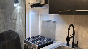 Une cuisine moderne équipée d’une cuisinière à gaz, d’un évier en acier inoxydable et de meubles de rangement aux couleurs sombres.