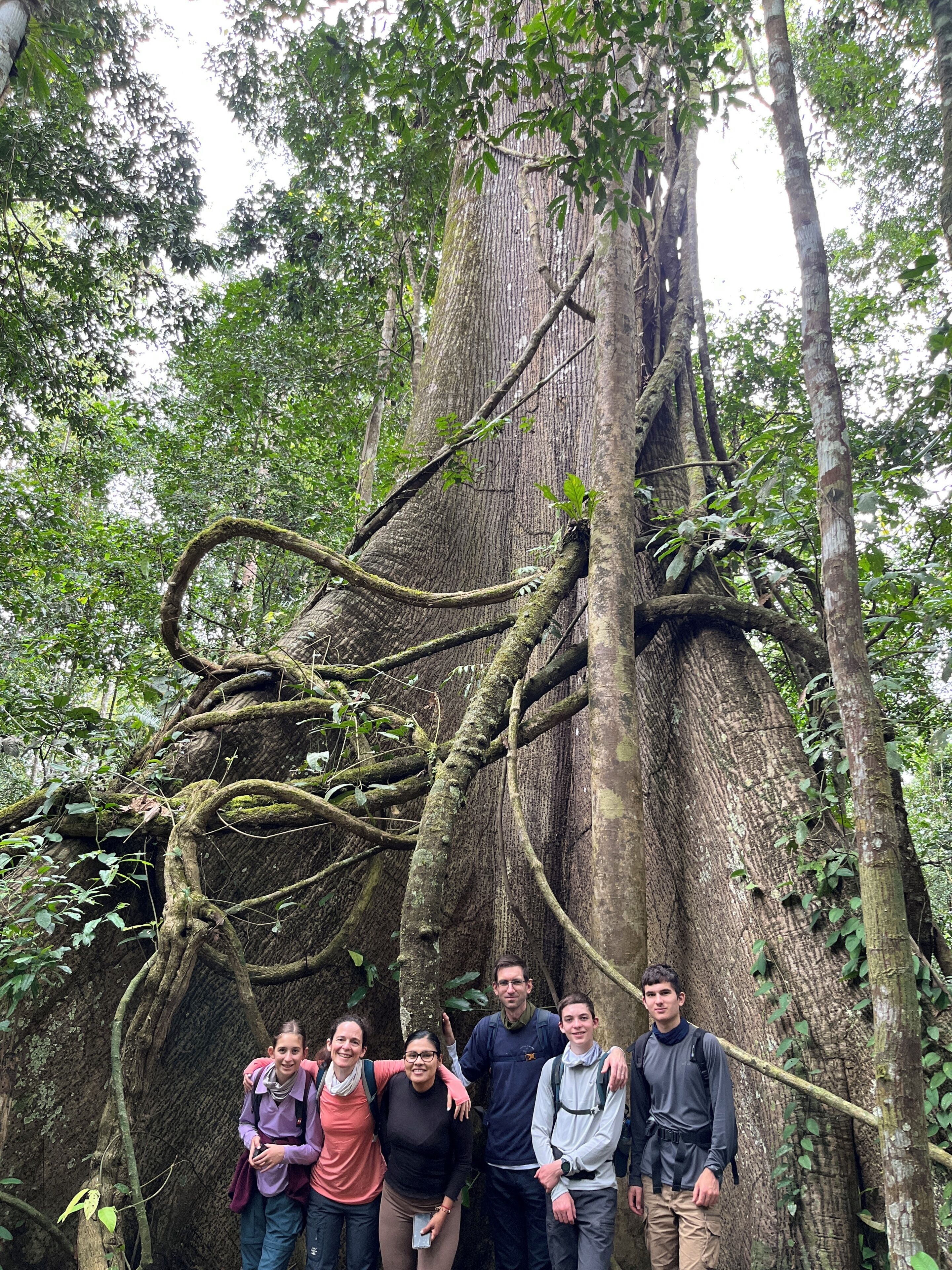 A group of people standing in front of a large tree with extensive roots and branches.