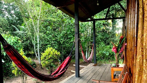 A wooden deck with two hammocks, a wooden bench, and a potted plant. - amazonian oropendola tambopata (Tambopata)